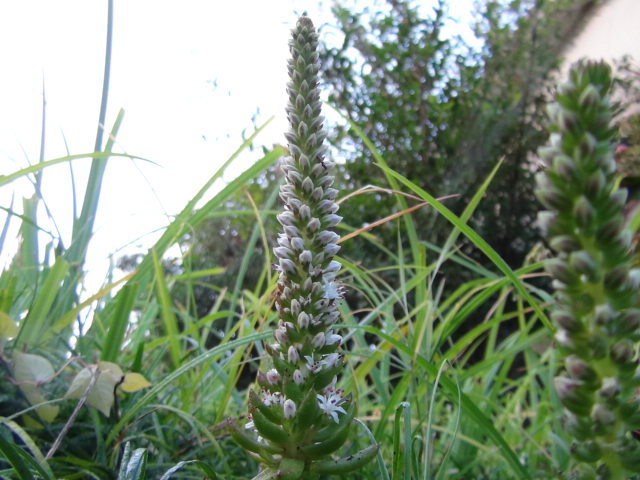 f0231709_173490.jpg