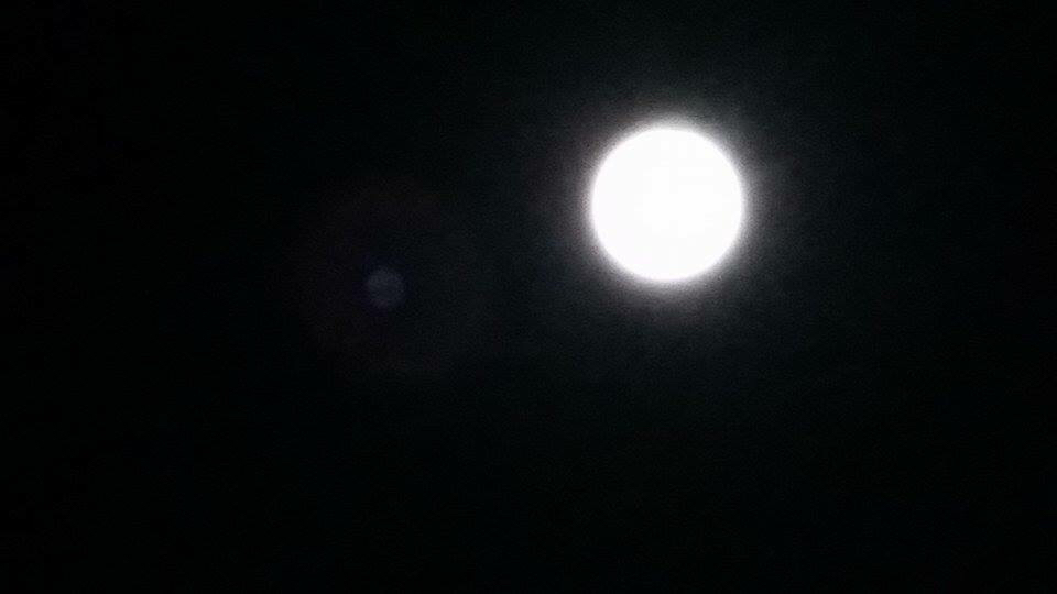 f0218012_19153036.jpg