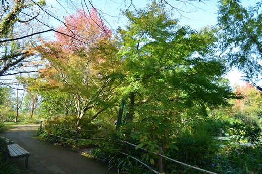 e0135518_16512073.jpg