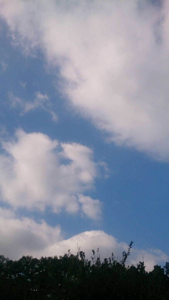 b0204719_10032835.jpg