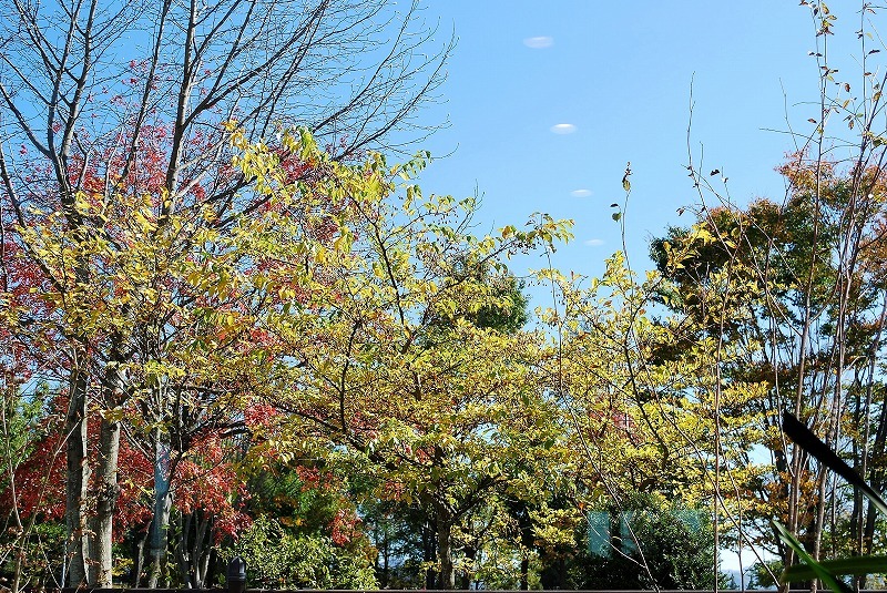 c0358326_09584955.jpg