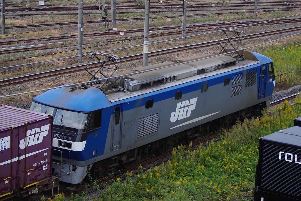 f0203926_23235775.jpg
