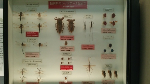 c0337631_23044828.jpg