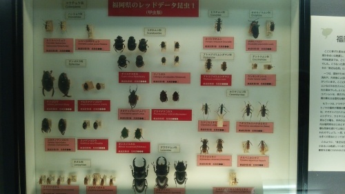 c0337631_23050686.jpg