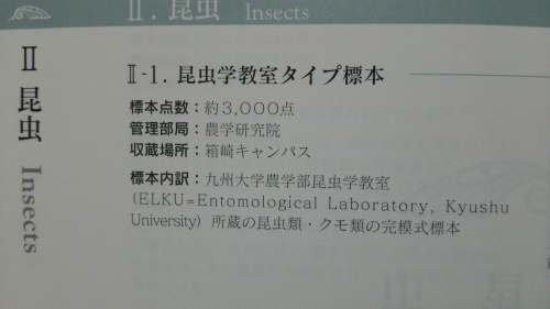 c0337631_23202449.jpg