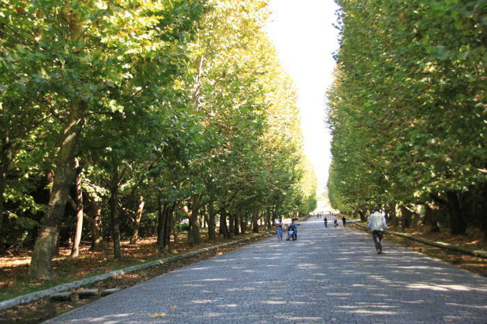 c0355331_15582747.jpg
