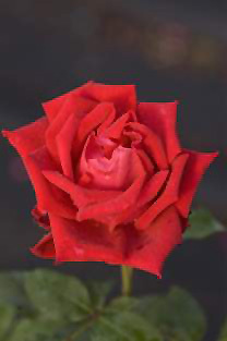 e0253932_03184311.jpg