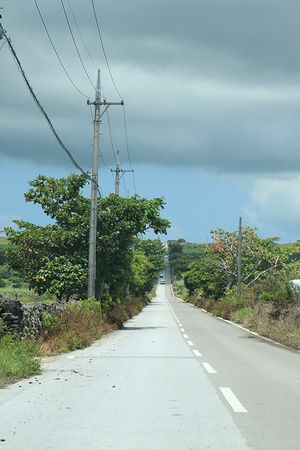 c0148238_1949042.jpg