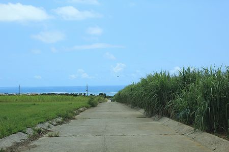 c0148238_19491293.jpg