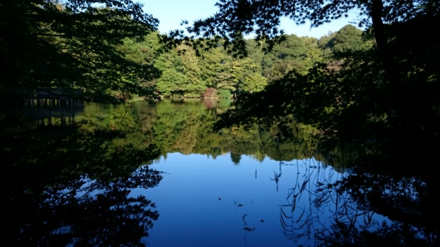 b0075140_11232325.jpg