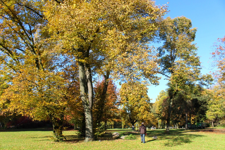 c0153740_15481177.jpg