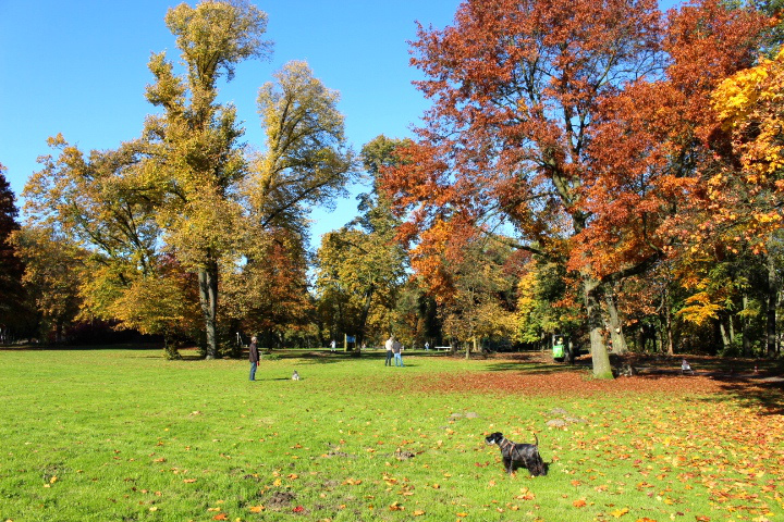 c0153740_1548276.jpg