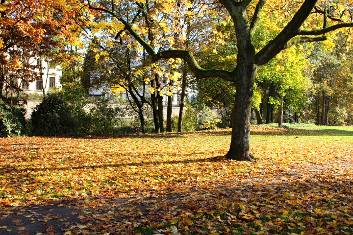 c0153740_15502039.jpg