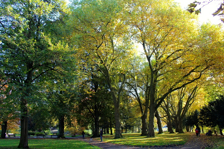 c0153740_15525333.jpg