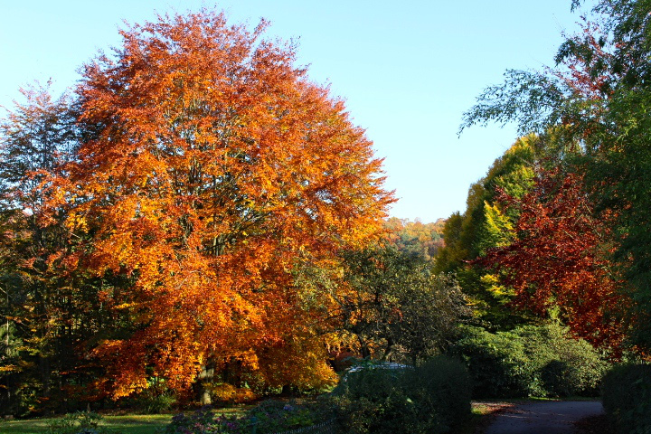 c0153740_1554362.jpg