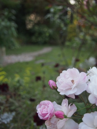b0246758_22055019.jpg