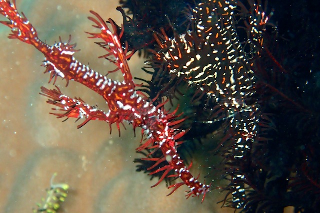 b0062363_1644245.jpg