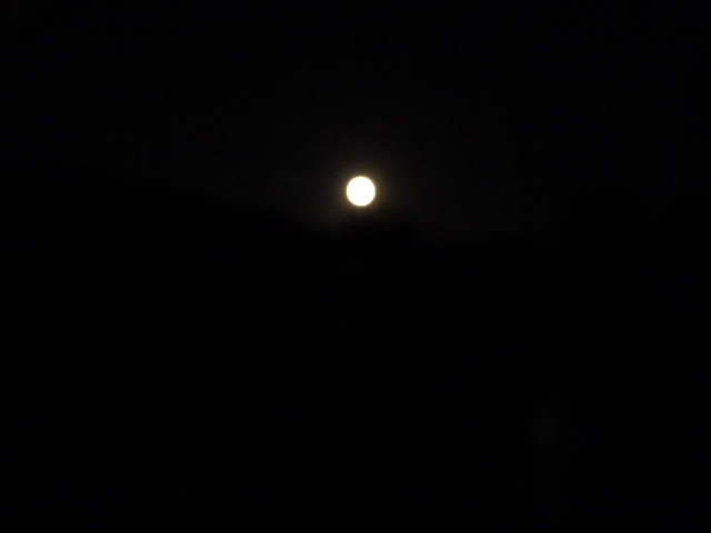 e0278968_21572097.jpg