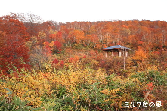 c0368870_12481919.jpg