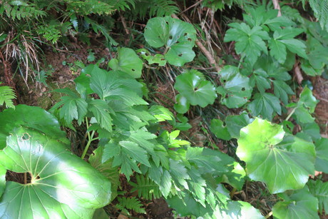 e0292172_16575194.jpg
