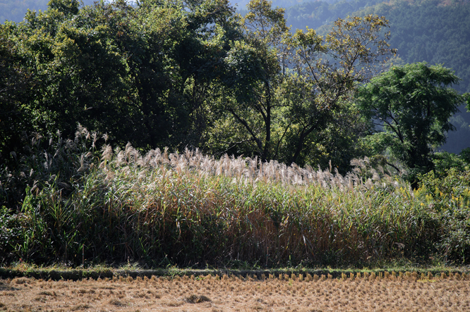 c0108673_05488.jpg