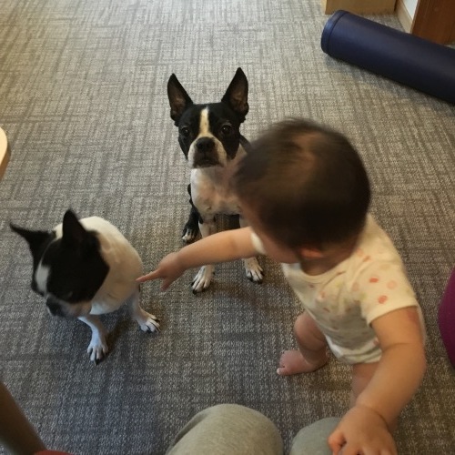 d0041575_21362135.jpeg