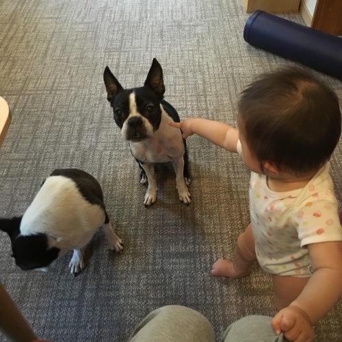 d0041575_21364409.jpeg