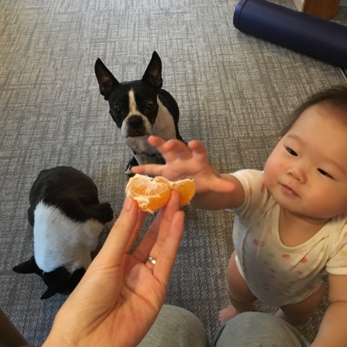 d0041575_21370777.jpeg