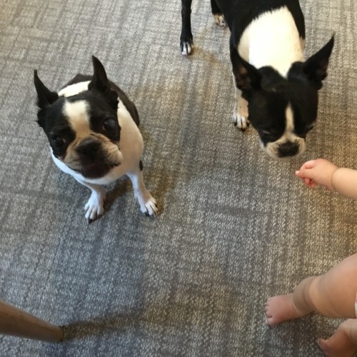 d0041575_21373004.jpeg
