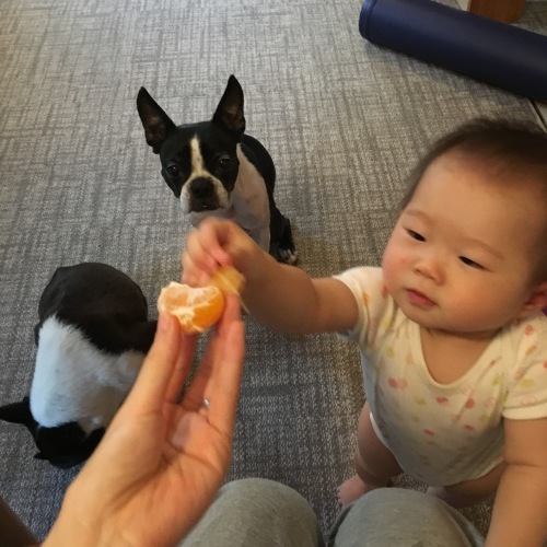 d0041575_21383978.jpeg