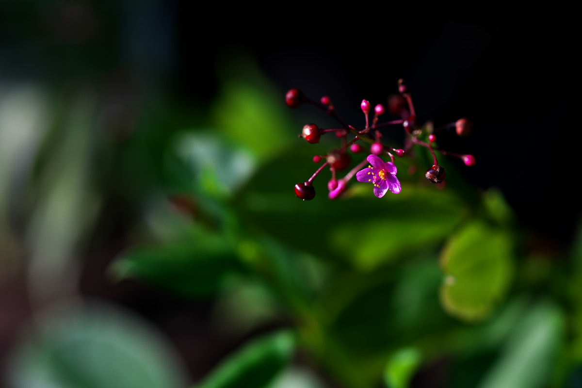 a0083081_15311623.jpg