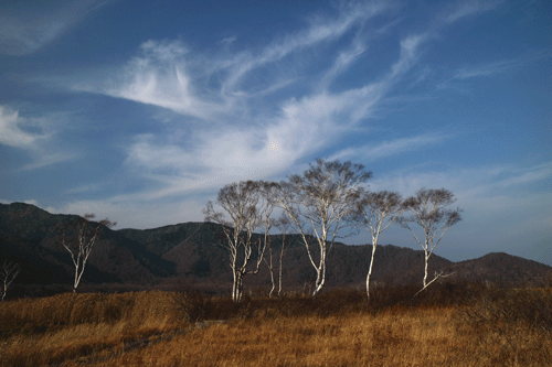 c0193289_18391144.gif