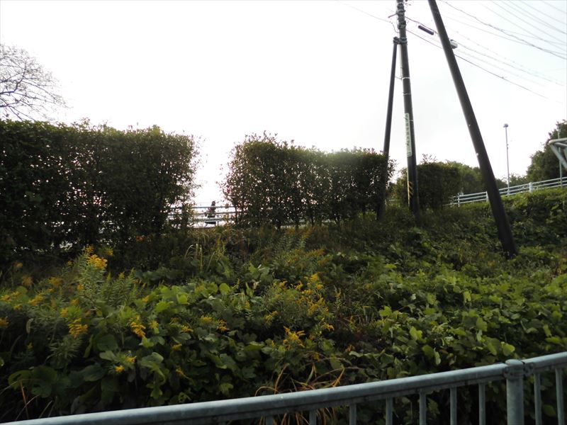 c0108198_16543795.jpg