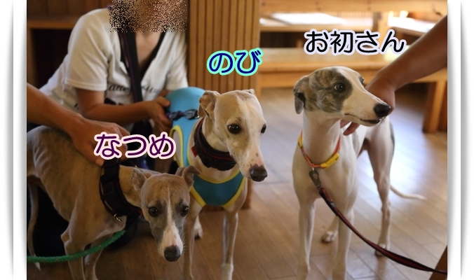 e0100007_21383291.jpg