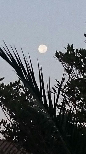 b0052108_12532921.jpg