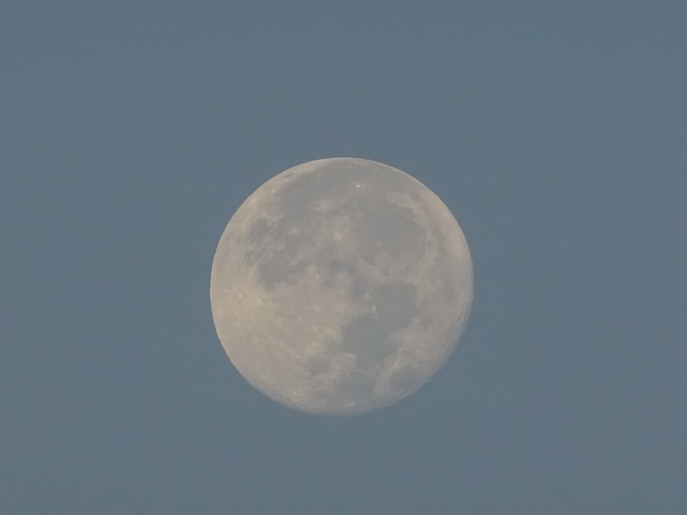 b0052108_1941598.jpg