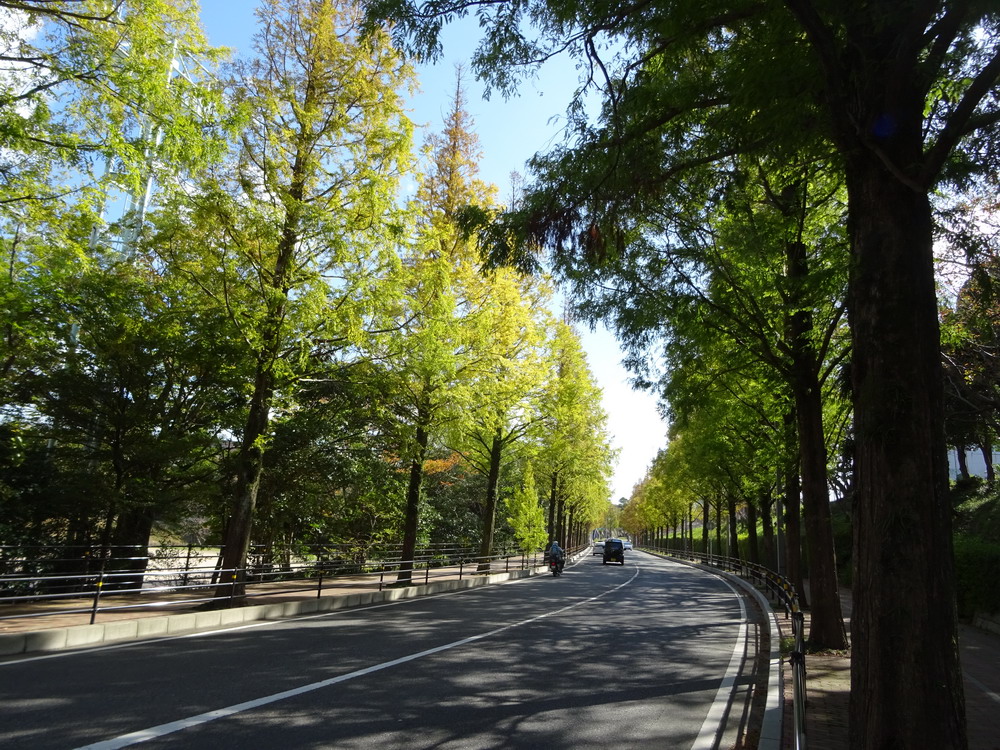 b0052108_20351189.jpg