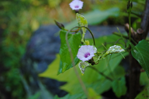 f0128316_07515874.jpg