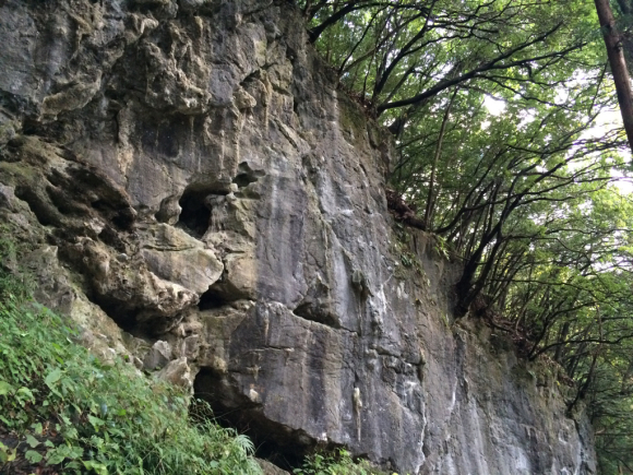 c0210618_20315338.jpg