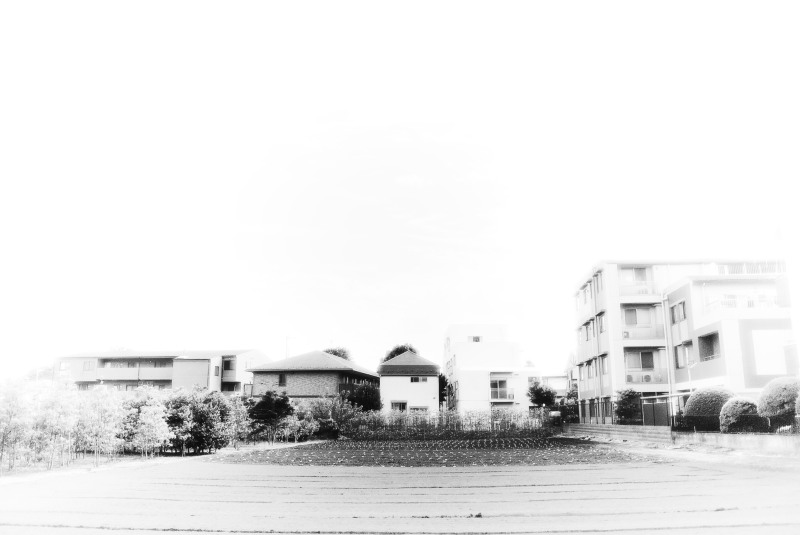 c0109827_16583464.jpg