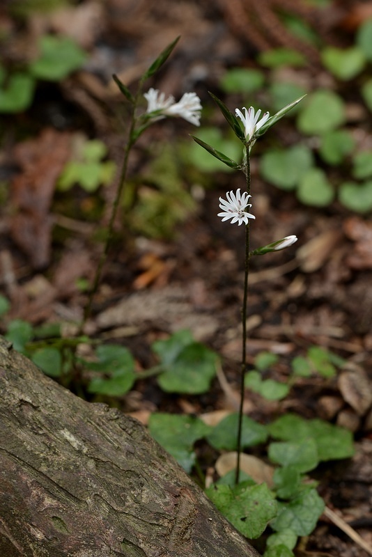 c0286530_20125773.jpg