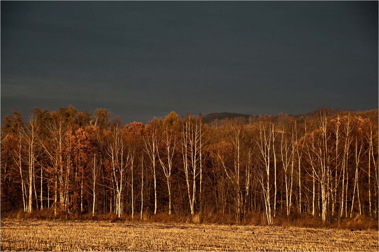 a0245331_8344164.jpg