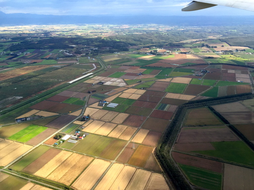 d0013834_1059267.jpg
