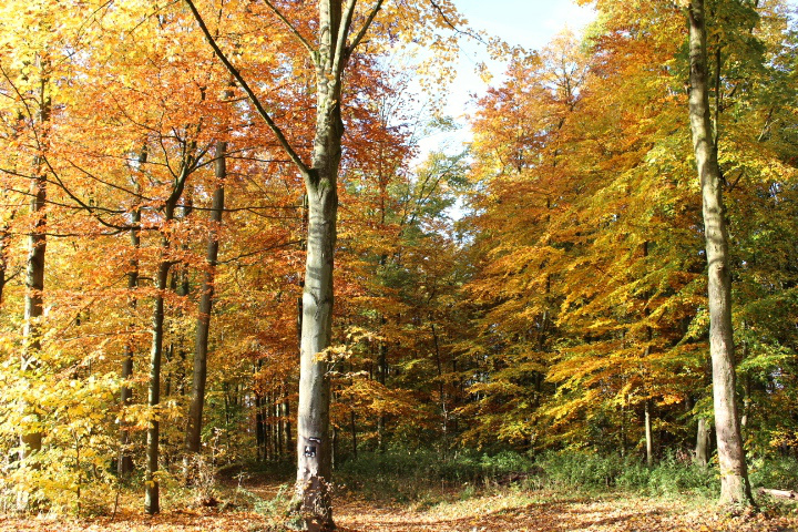 c0153740_0284672.jpg