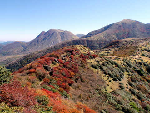 b0168843_14451811.jpg