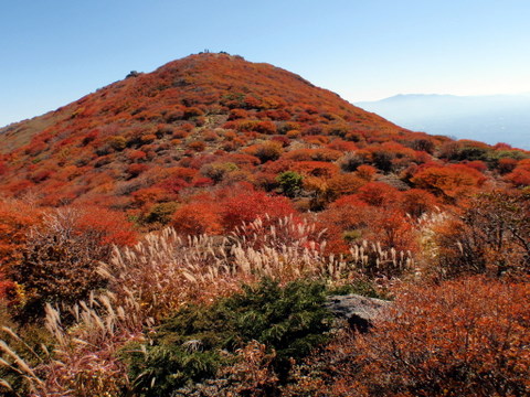 b0168843_14455842.jpg