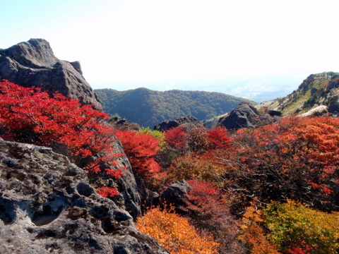 b0168843_14464697.jpg