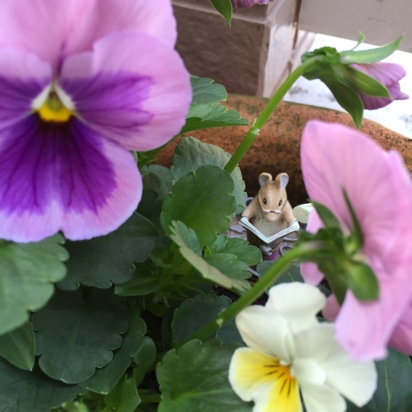 b0236351_17230070.jpeg
