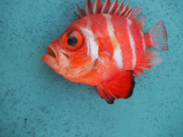 a0248152_18272047.jpg