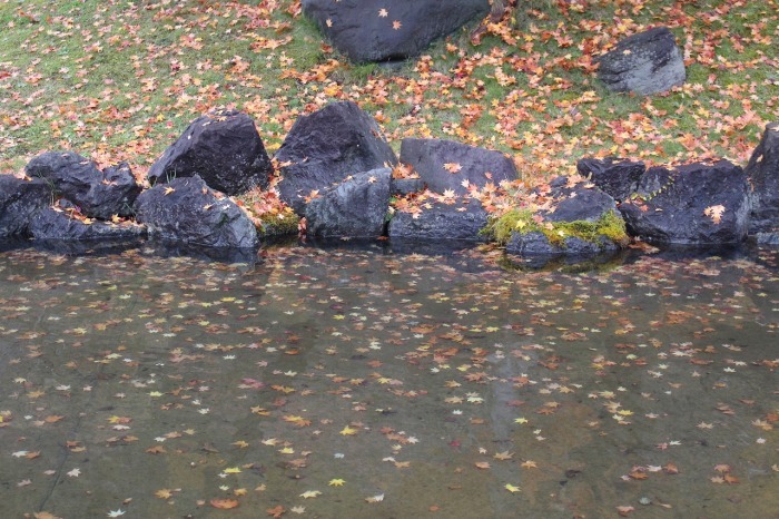 b0250154_00004613.jpg